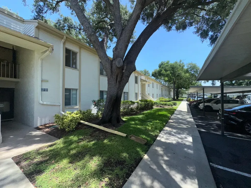 201 Palmetto Court Oldsmar FL 34677