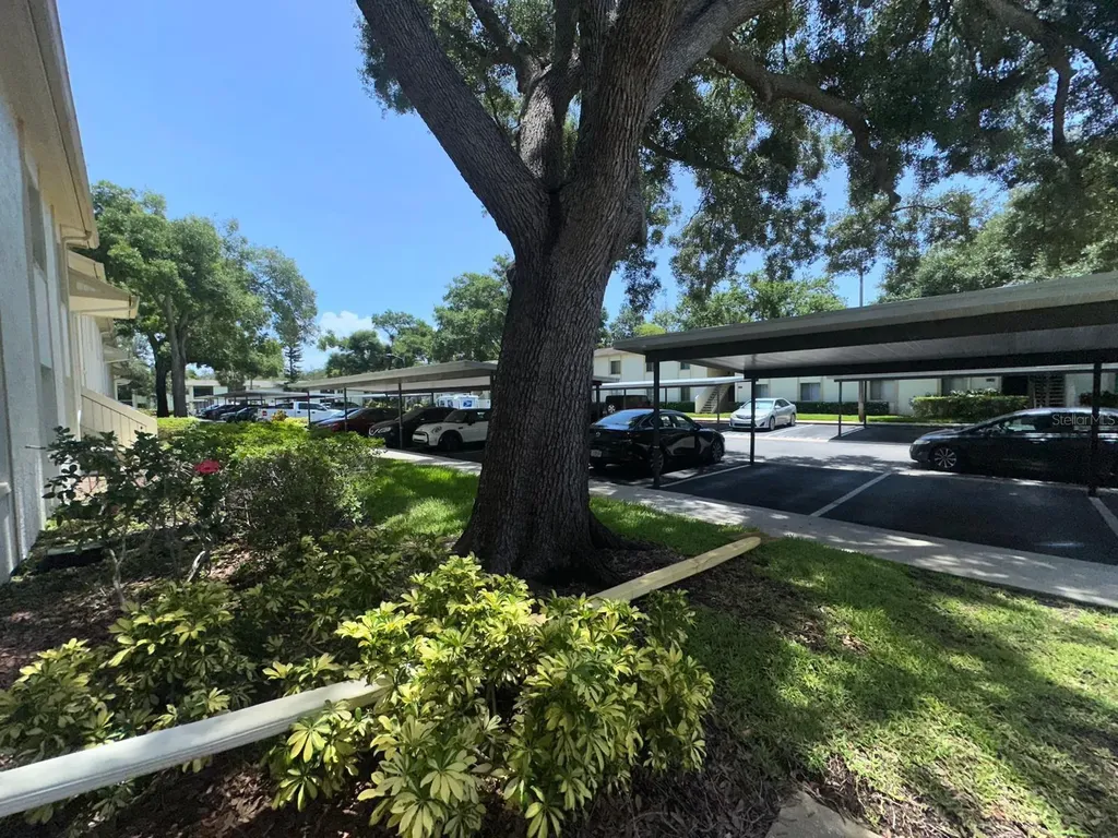 201 Palmetto Court Oldsmar FL 34677