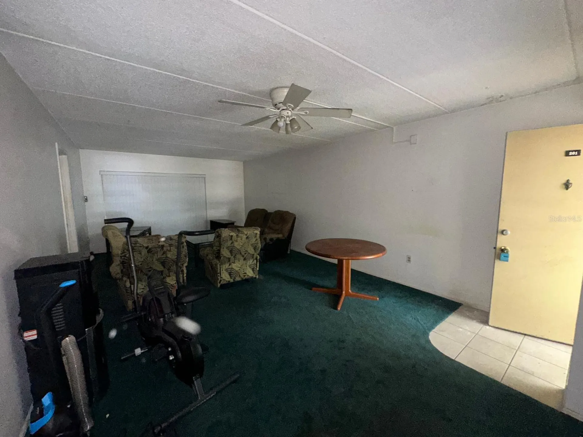 201 Palmetto Court Oldsmar FL 34677