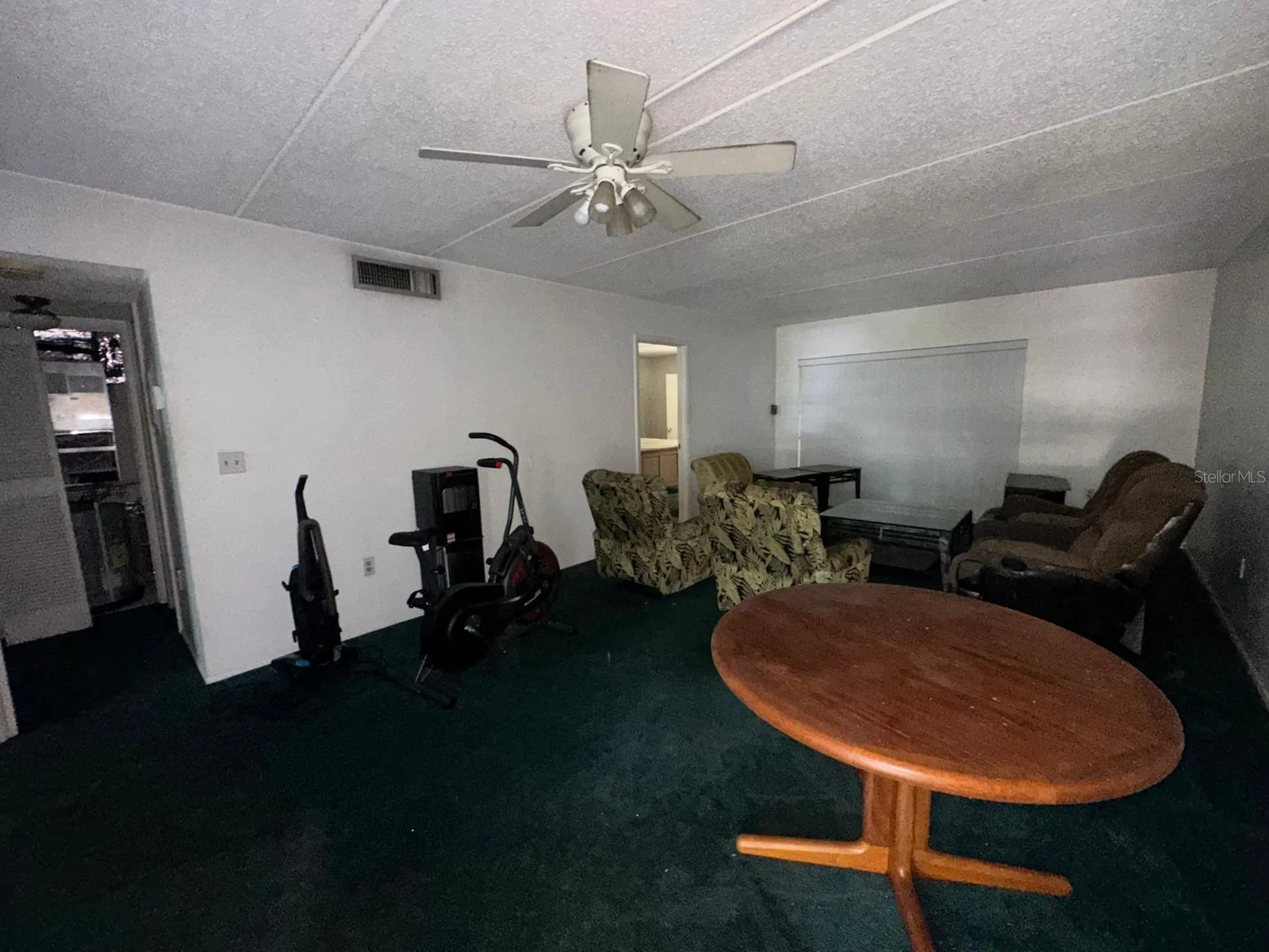 201 Palmetto Court Oldsmar FL 34677