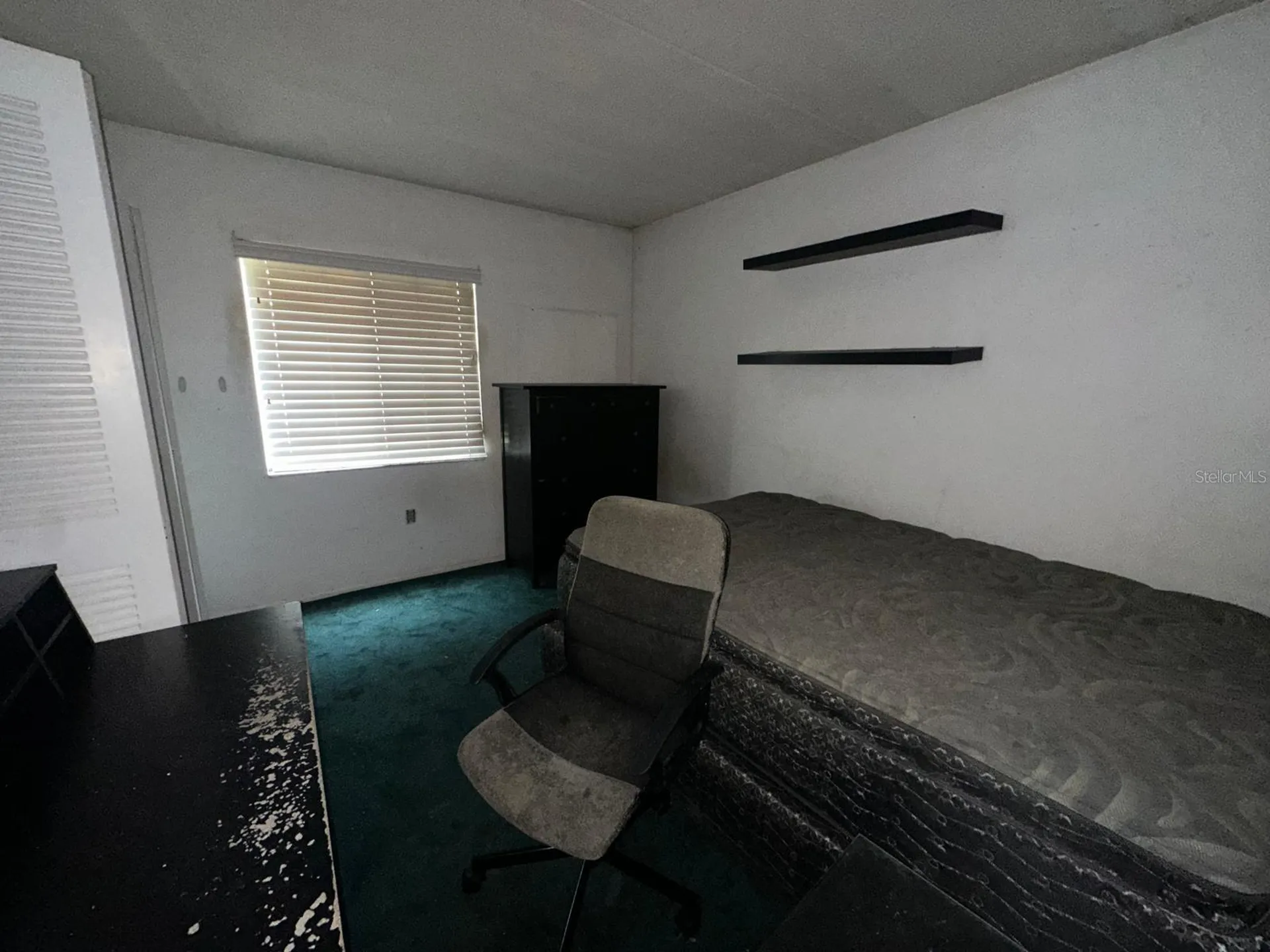 201 Palmetto Court Oldsmar FL 34677