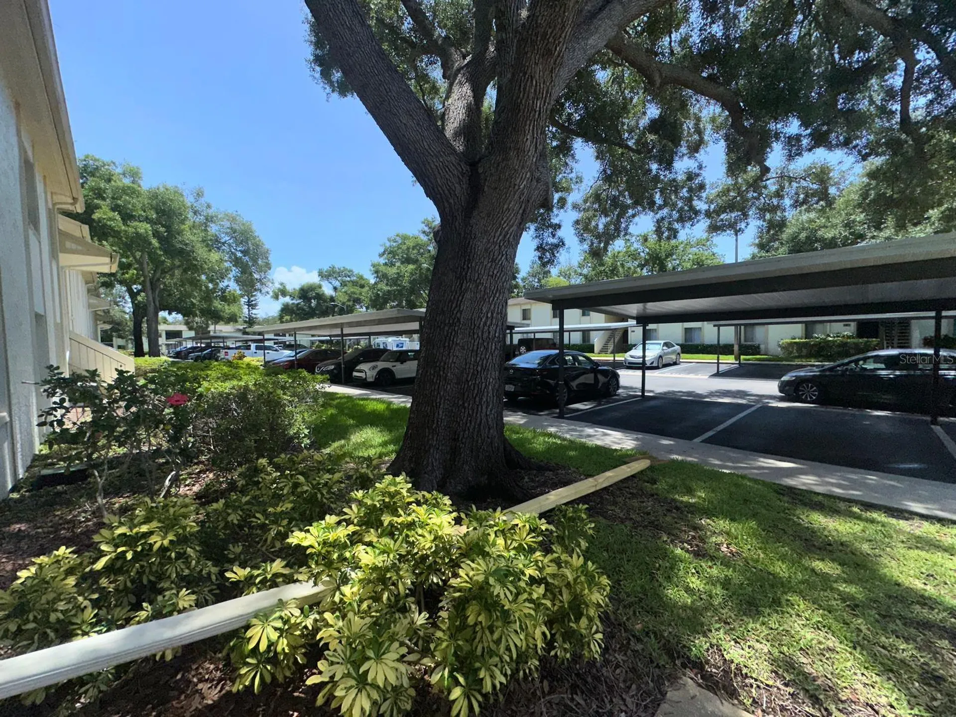 201 Palmetto Court Oldsmar FL 34677