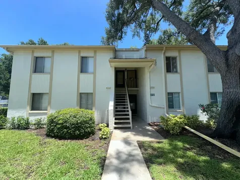 201 Palmetto Court Oldsmar FL 34677