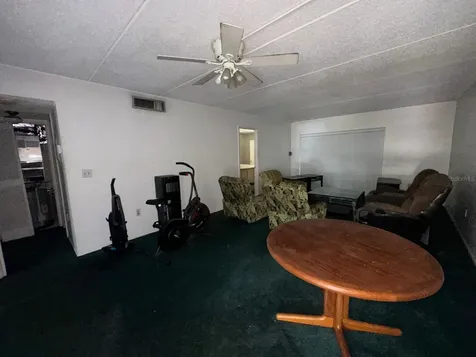 201 Palmetto Court Oldsmar FL 34677