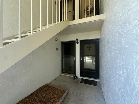 201 Palmetto Court Oldsmar FL 34677
