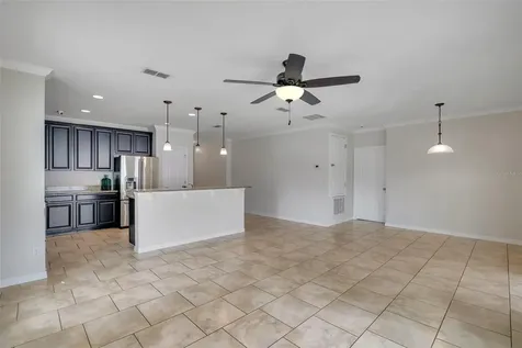 4729 Greycliff Prairie Drive Kissimmee FL 34758