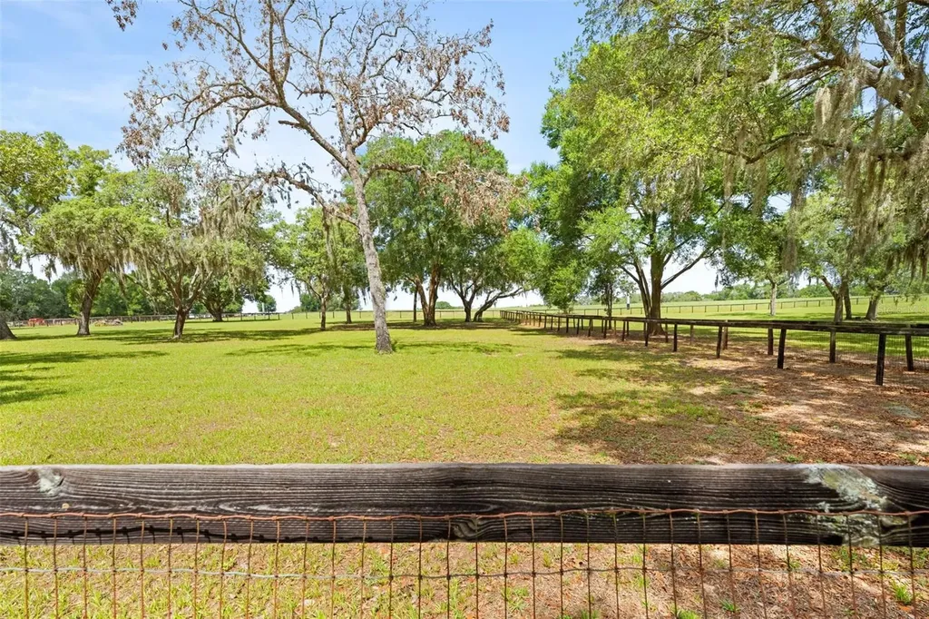19509 Paso Fino Way Dade City FL 33523