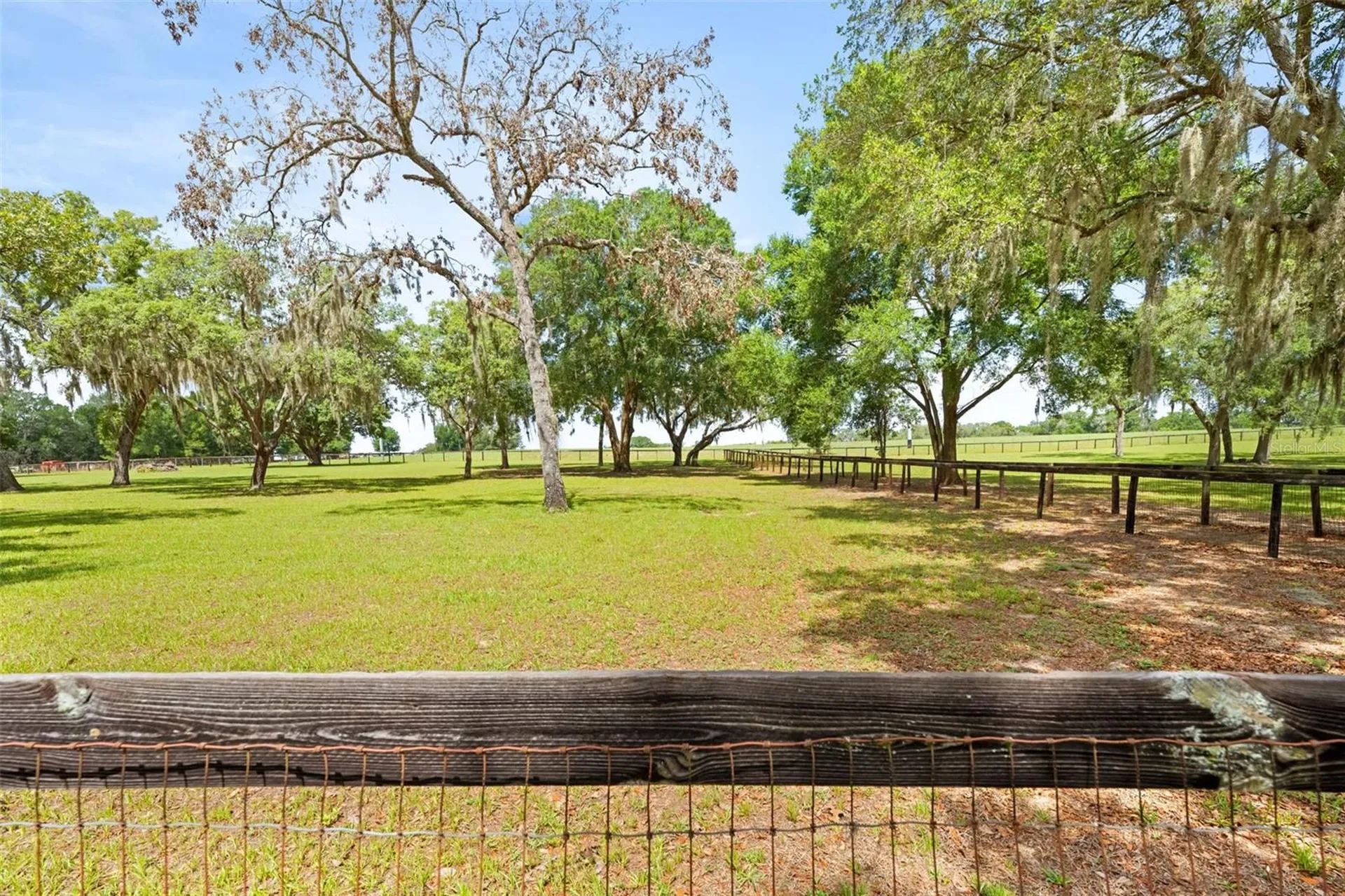 19509 Paso Fino Way Dade City FL 33523
