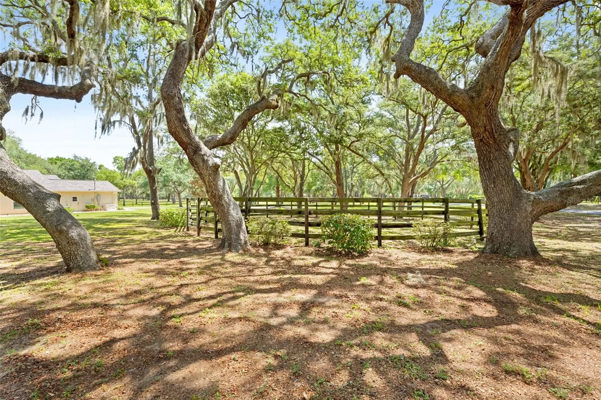 19509 Paso Fino Way Dade City FL 33523