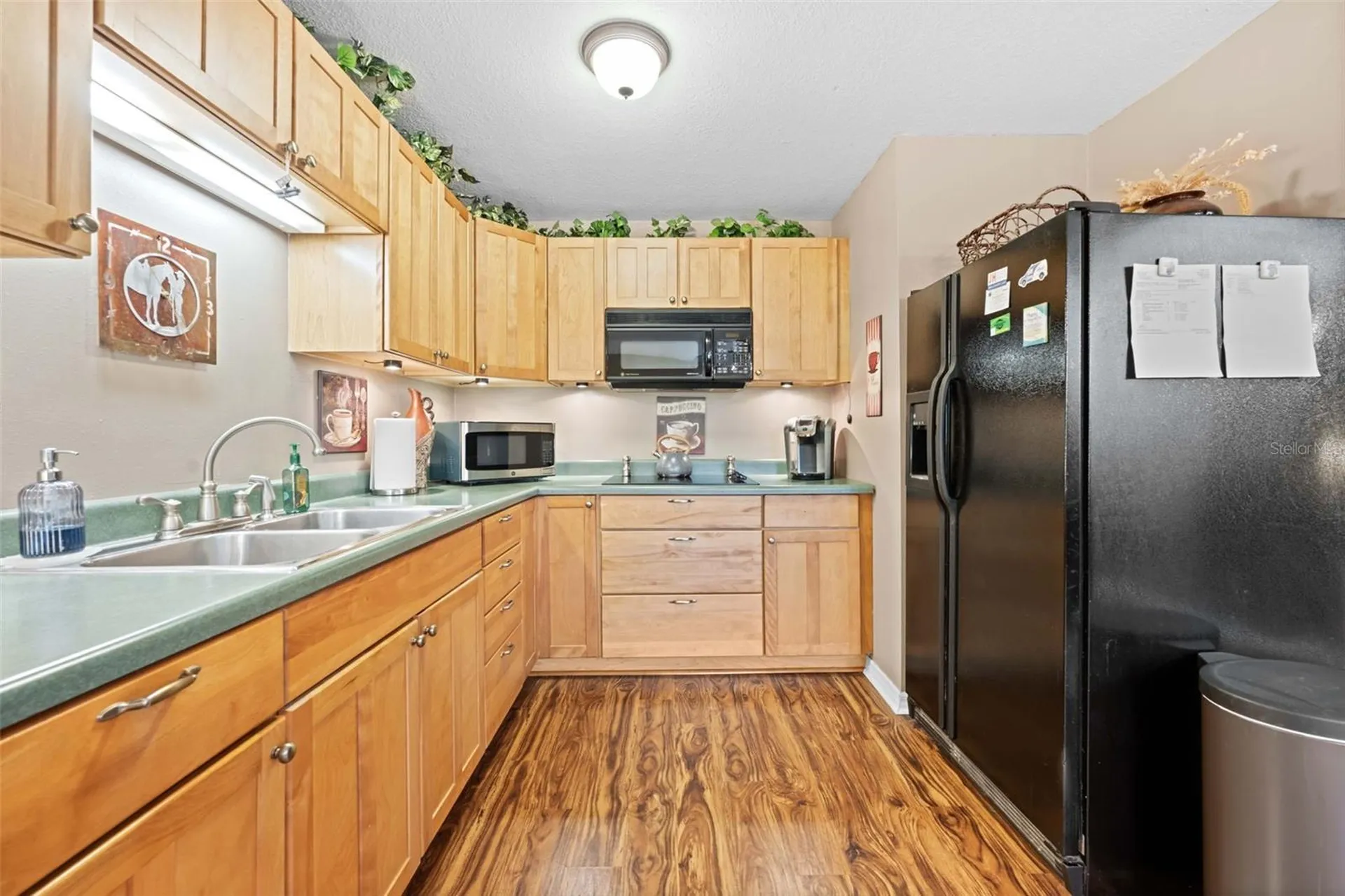 19509 Paso Fino Way Dade City FL 33523