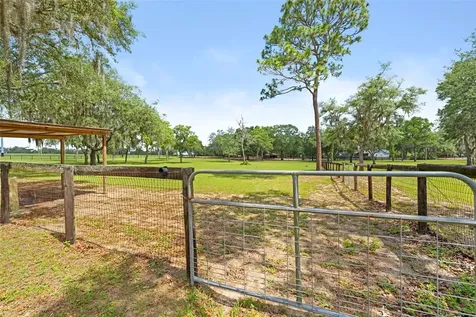 19509 Paso Fino Way Dade City FL 33523