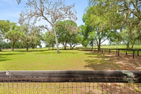 19509 Paso Fino Way Dade City FL 33523