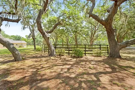 19509 Paso Fino Way Dade City FL 33523