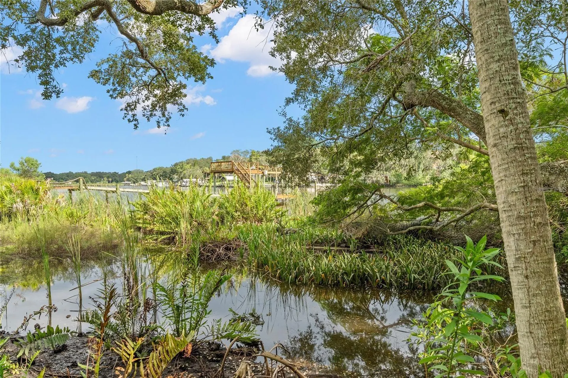 Riverview Drive Riverview FL 33578