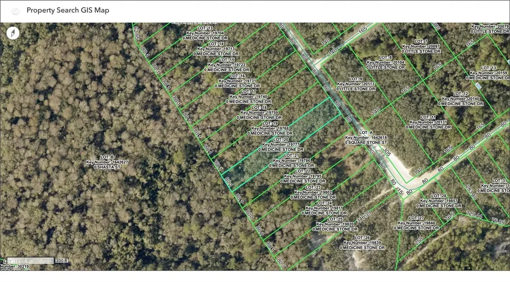 Tbd Medicine Stone Drive Webster FL 33597