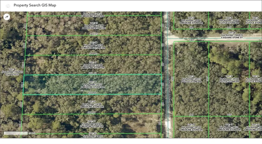 Tbd Medicine Stone Drive Webster FL 33597