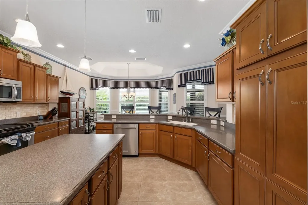 2993 Rainsong Avenue The Villages FL 32163