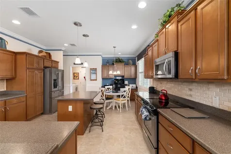2993 Rainsong Avenue The Villages FL 32163