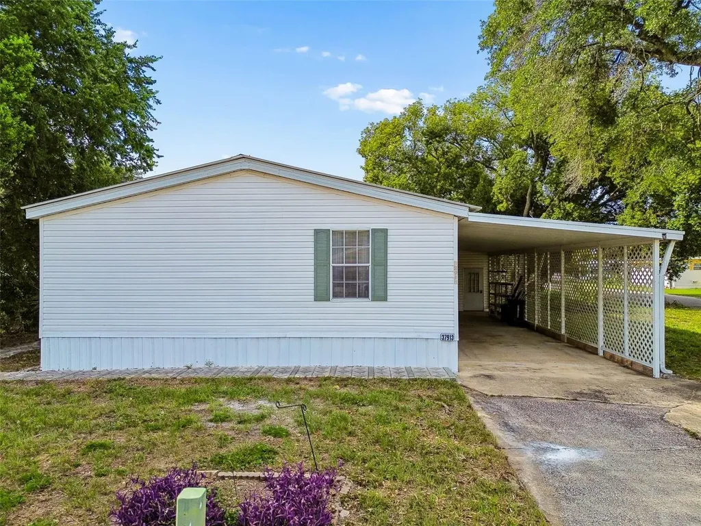 37913 Palmetto Palm Drive Zephyrhills FL 33542
