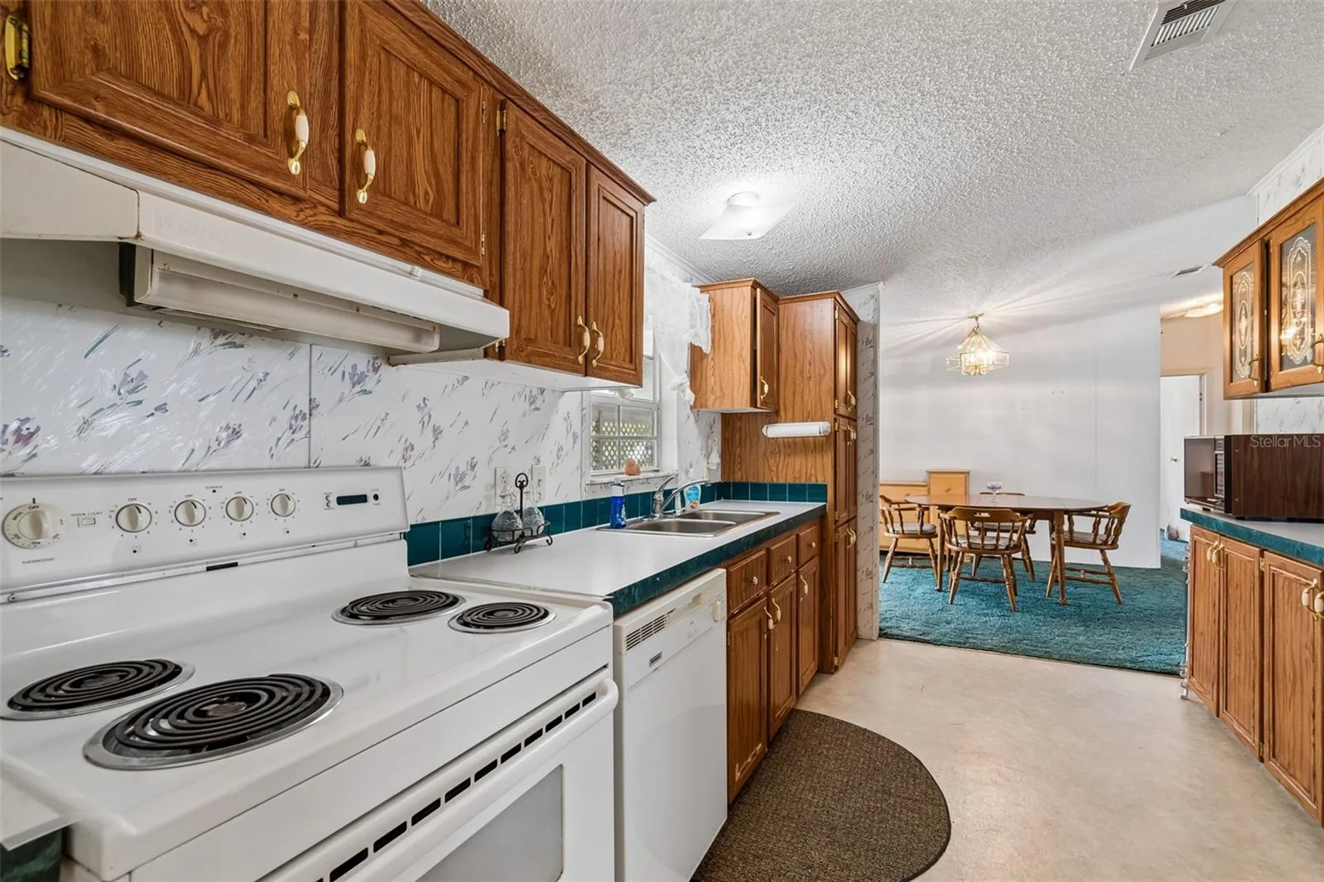 37913 Palmetto Palm Drive Zephyrhills FL 33542