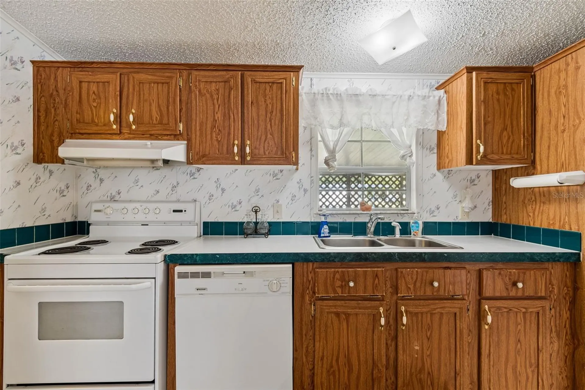 37913 Palmetto Palm Drive Zephyrhills FL 33542