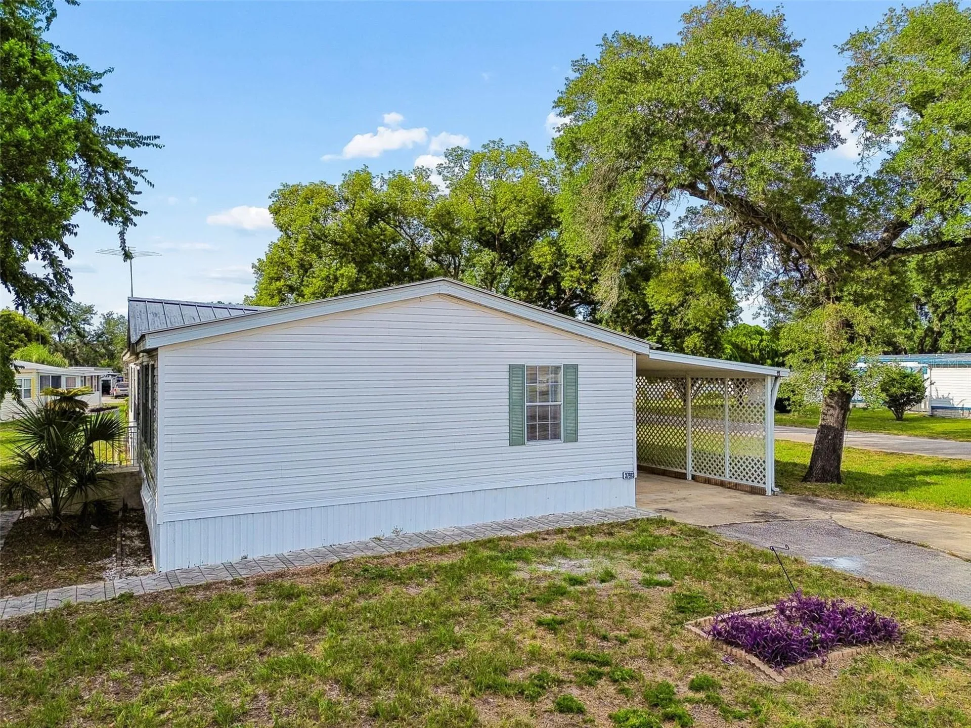 37913 Palmetto Palm Drive Zephyrhills FL 33542