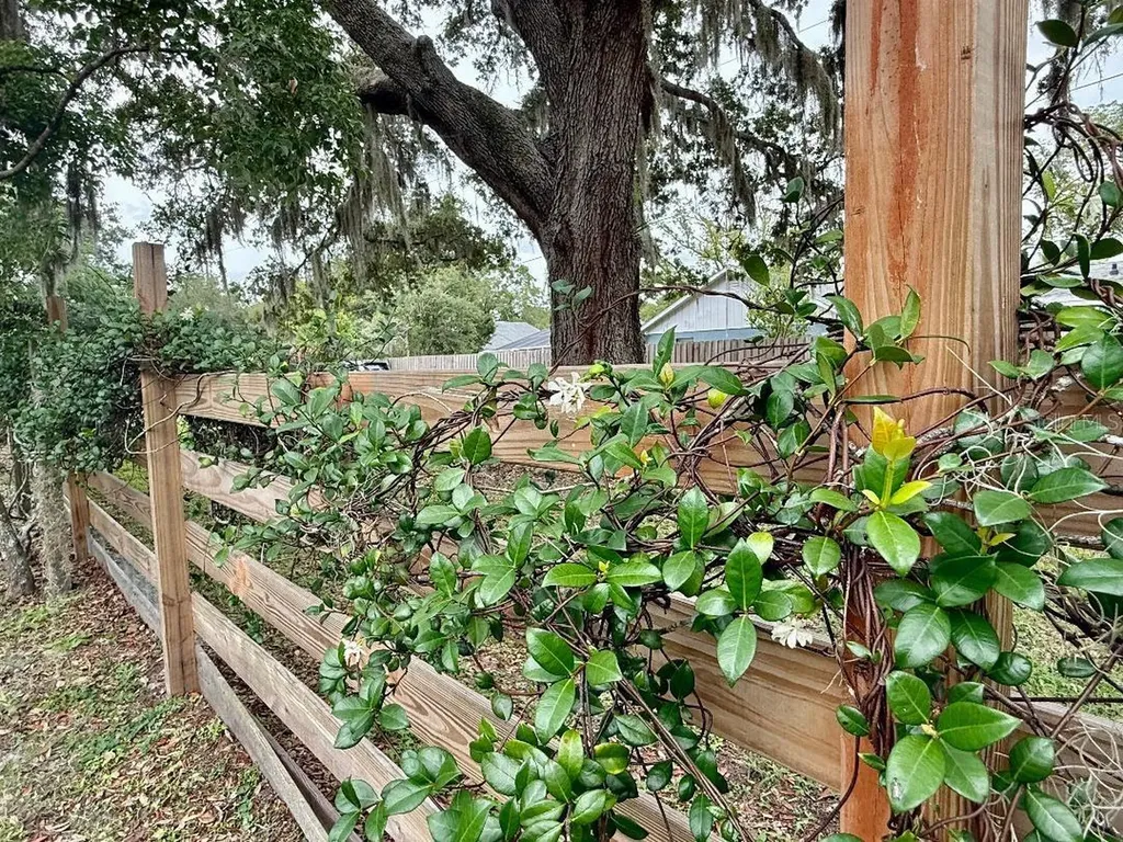 17321 Simmons Road Lutz FL 33548