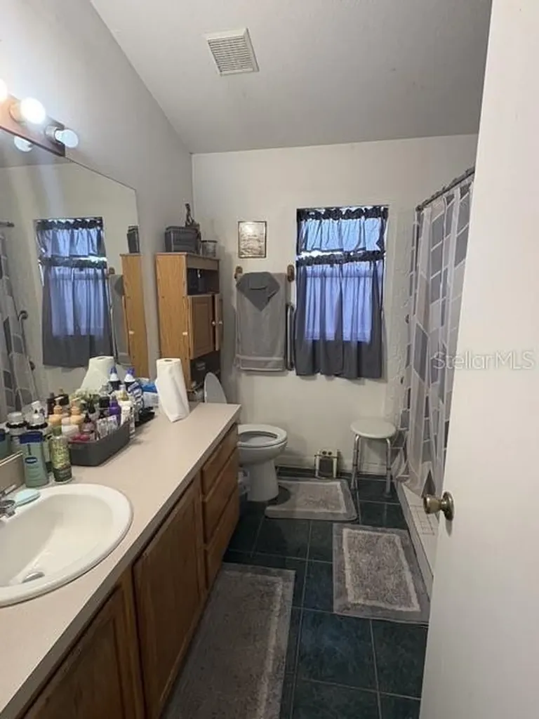 1165 Sheeler Hills Drive Apopka FL 32703