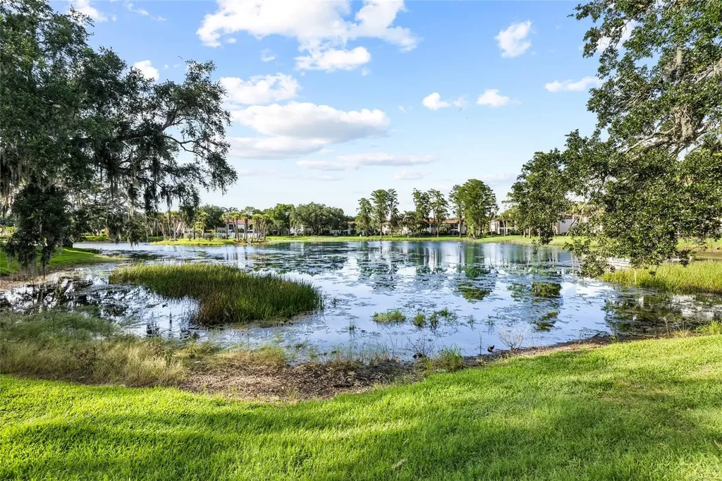 10360 Carrollwood Lane Tampa FL 33618