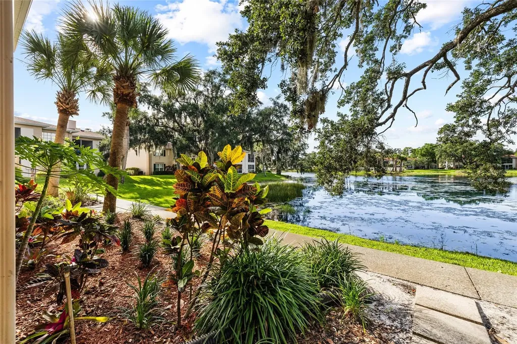 10360 Carrollwood Lane Tampa FL 33618