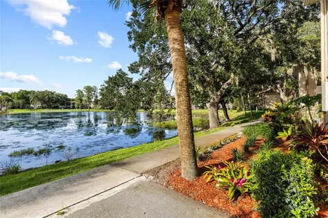 10360 Carrollwood Lane Tampa FL 33618