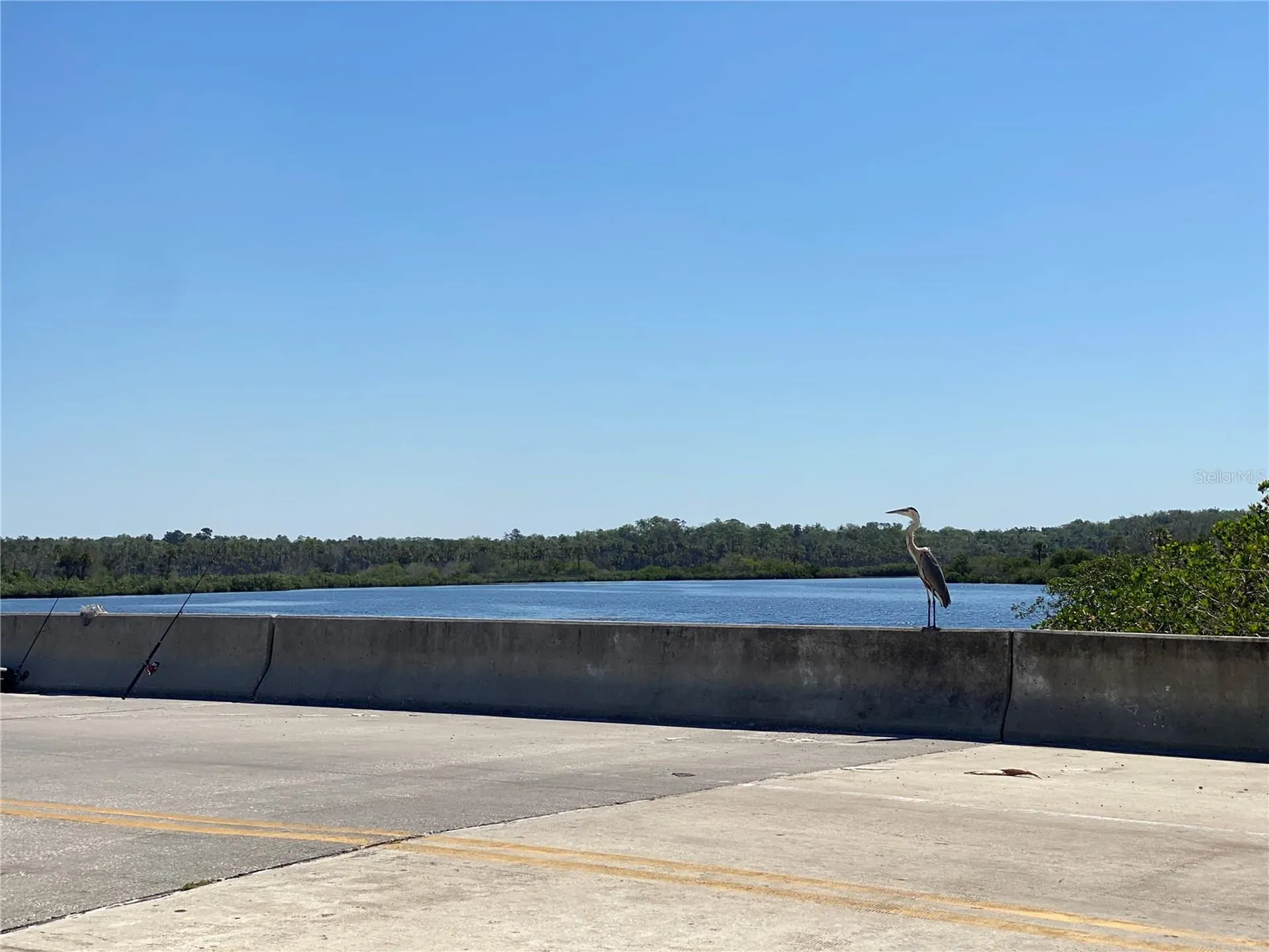 1578 Indian Bay Road Spring Hill FL 34607