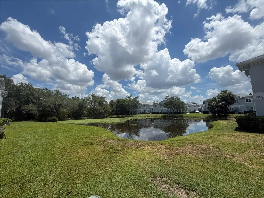 4105 Waterside Island Court Tampa FL 33617