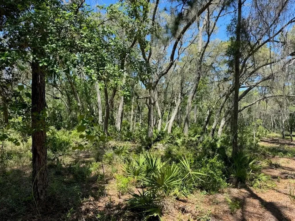 Citadel Drive Webster FL 33597