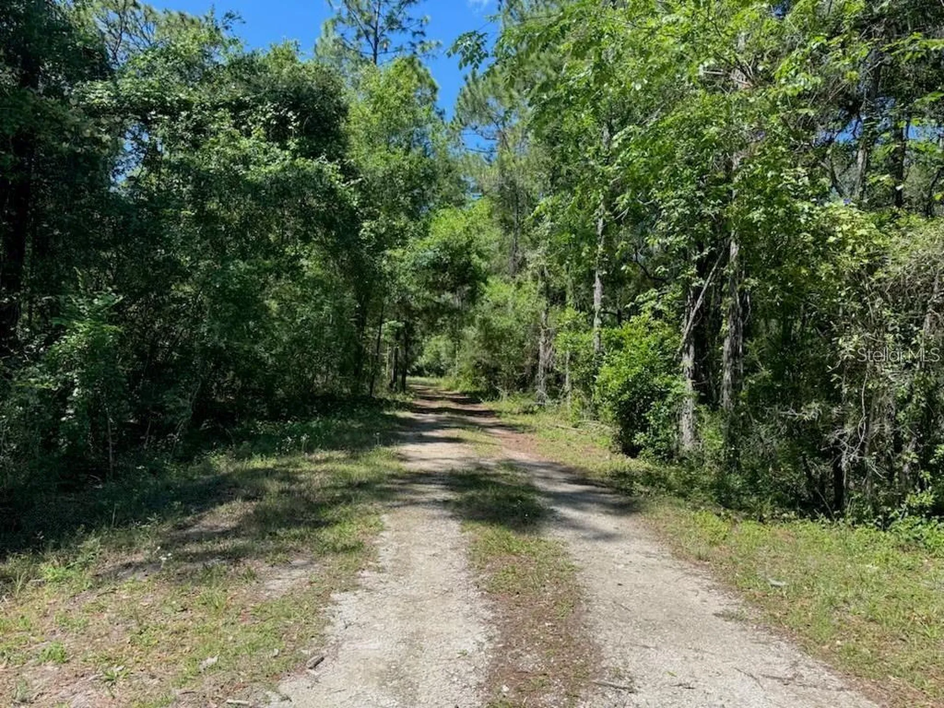 Citadel Drive Webster FL 33597