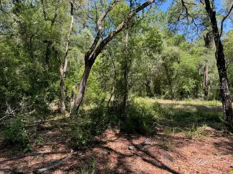Citadel Drive Webster FL 33597