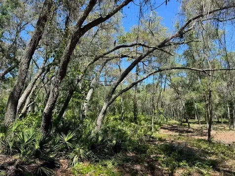 Citadel Drive Webster FL 33597