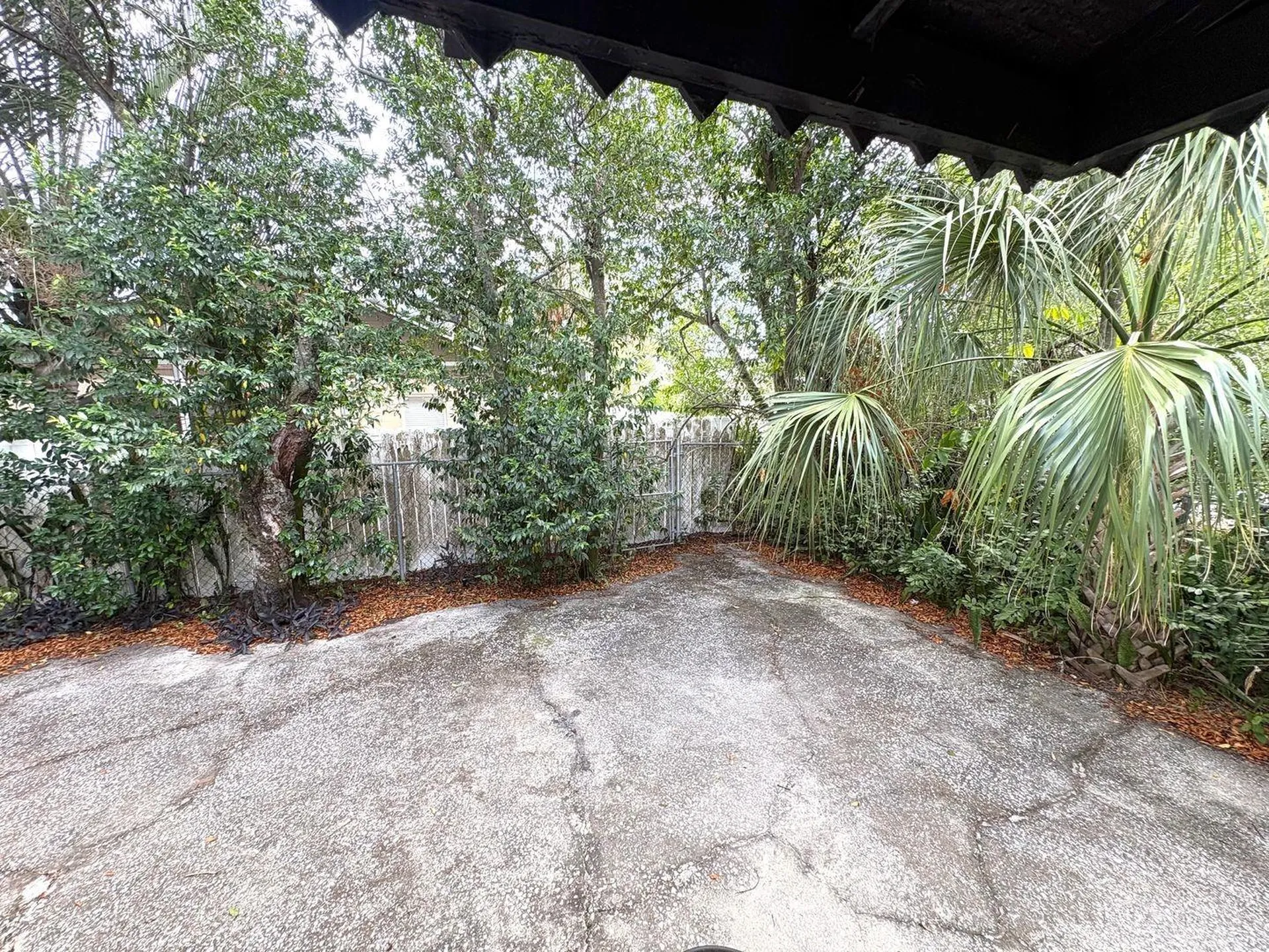 4106 W Arch Street Tampa FL 33607