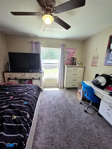 5434 Parnell Avenue Spring Hill FL 34608
