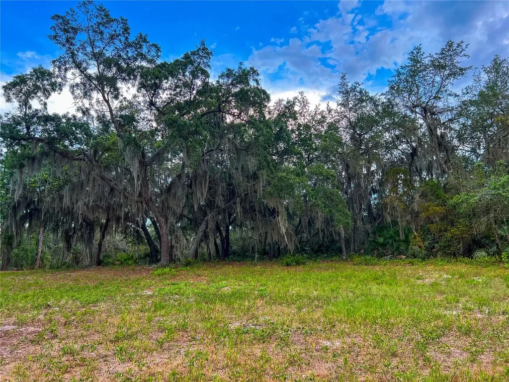 2332 Mitchell Island Road Deltona FL 32738