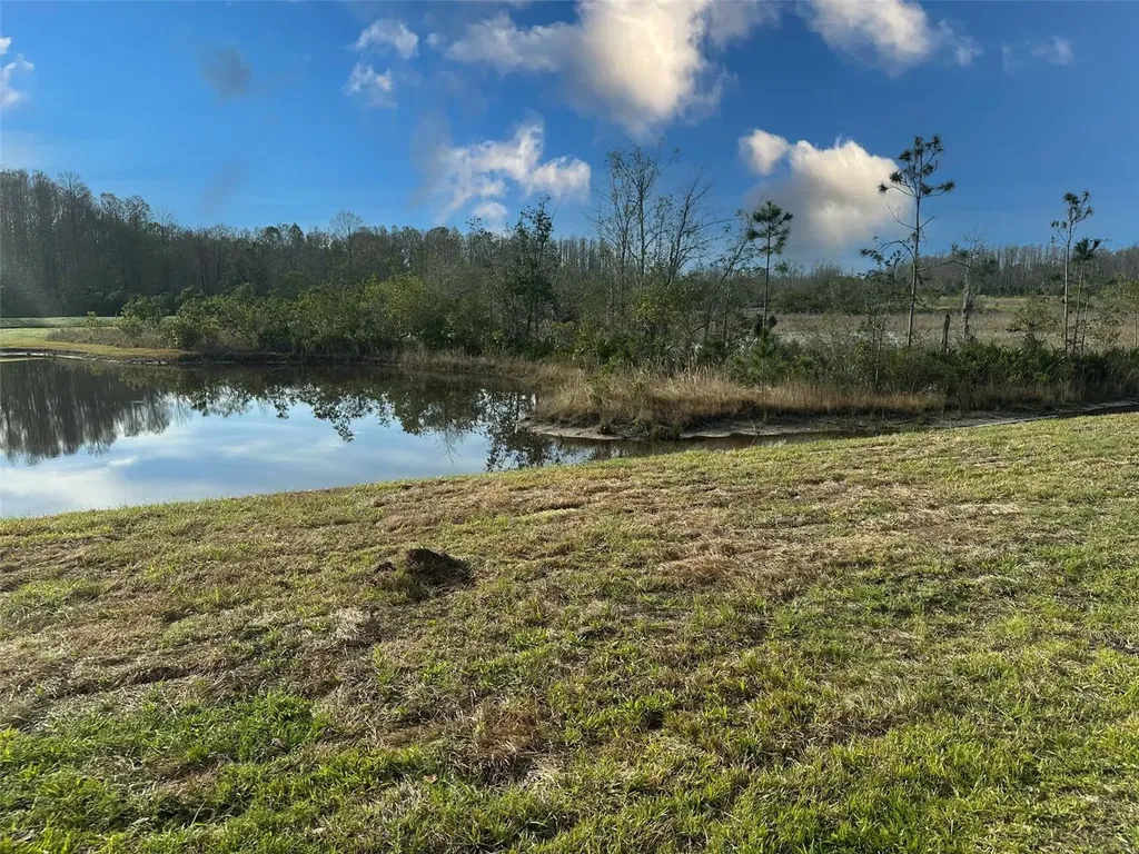 11450 Crescent Deer Drive Land O Lakes FL 34638