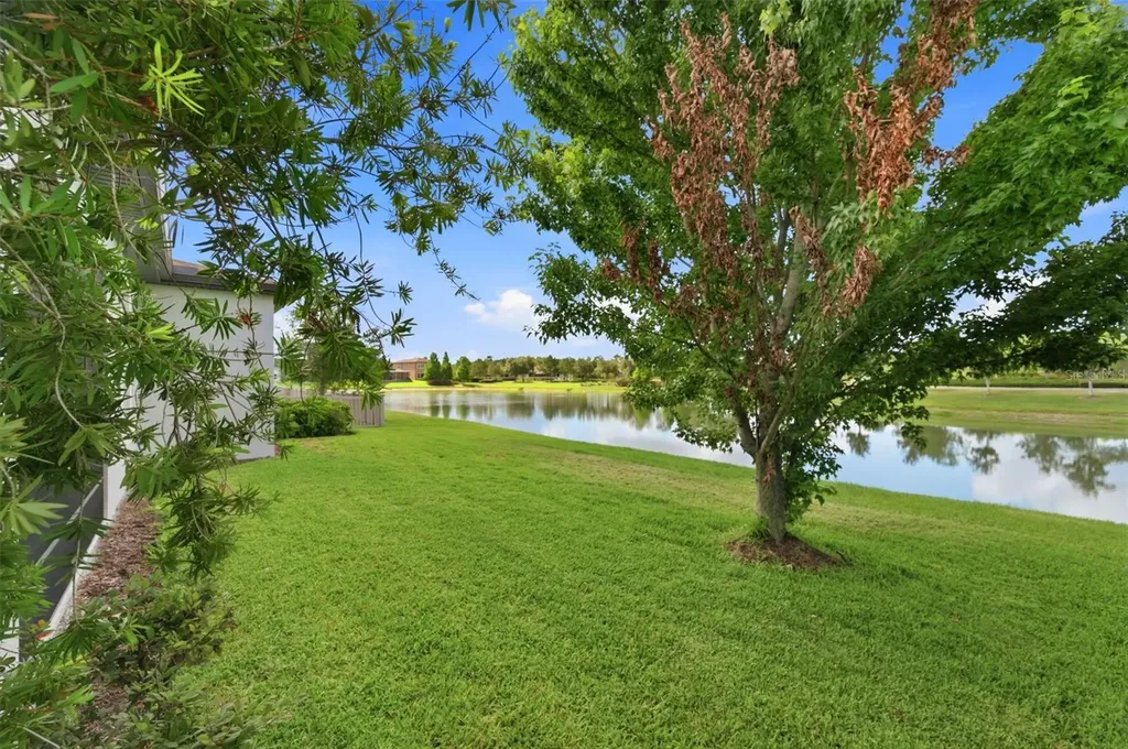 28930 Revaro Lane Wesley Chapel FL 33543