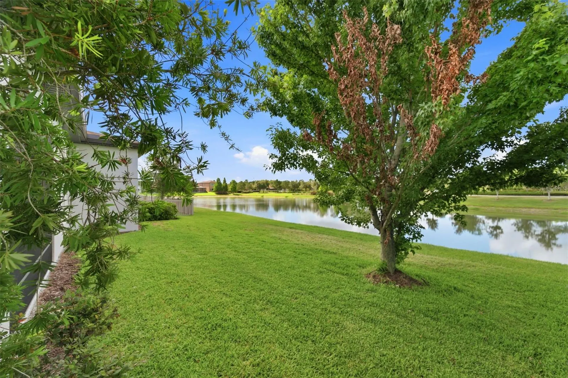 28930 Revaro Lane Wesley Chapel FL 33543