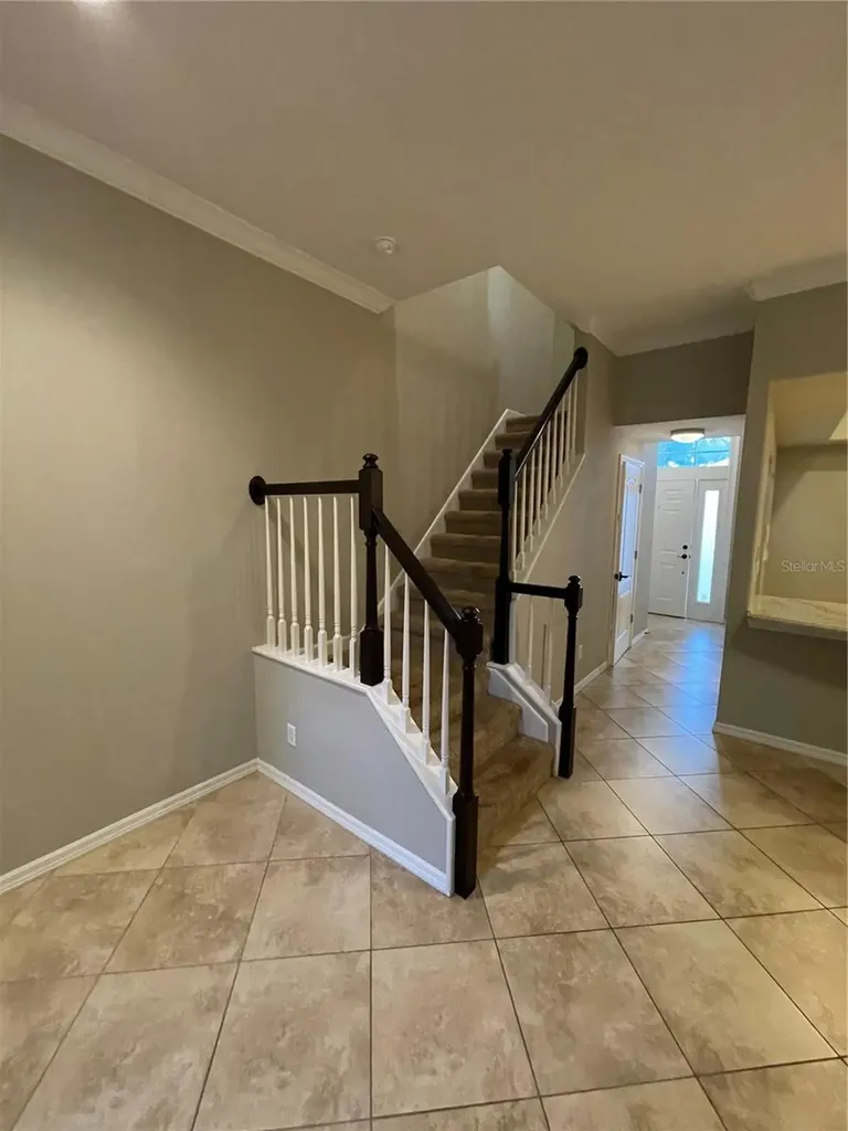 11219 Cedar Hollow Lane Tampa FL 33618