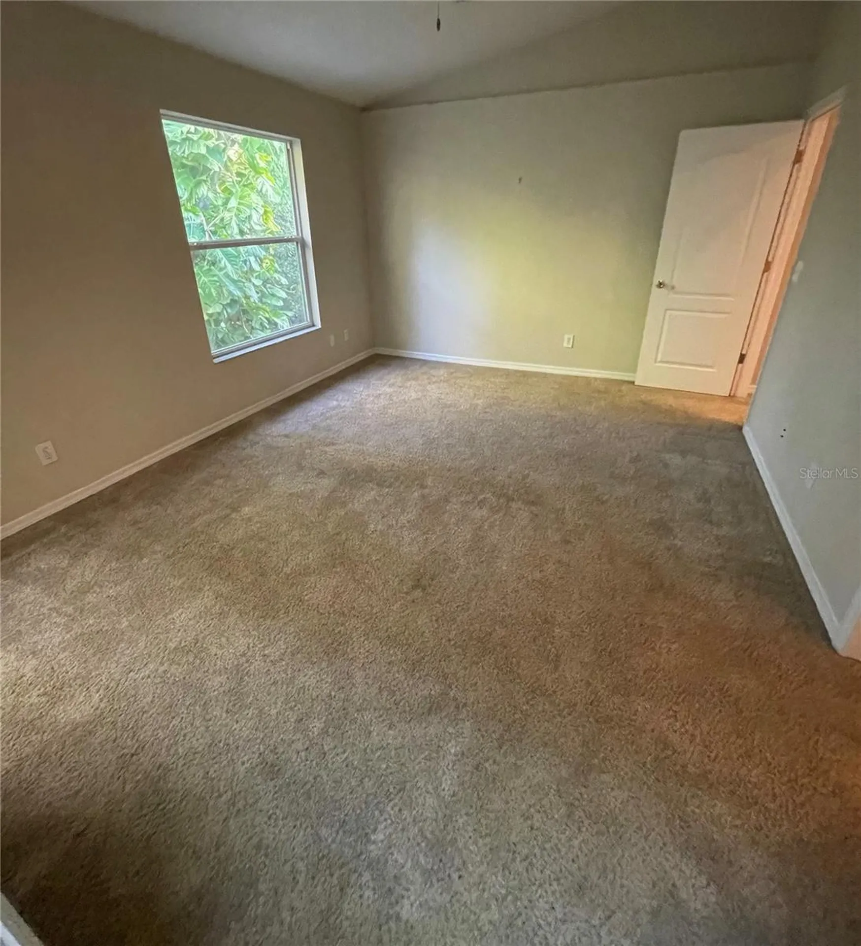 11219 Cedar Hollow Lane Tampa FL 33618