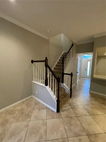 11219 Cedar Hollow Lane Tampa FL 33618