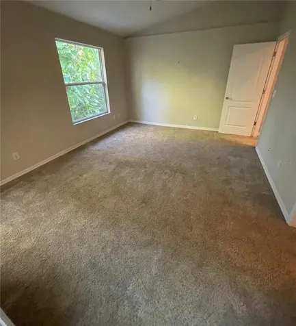11219 Cedar Hollow Lane Tampa FL 33618