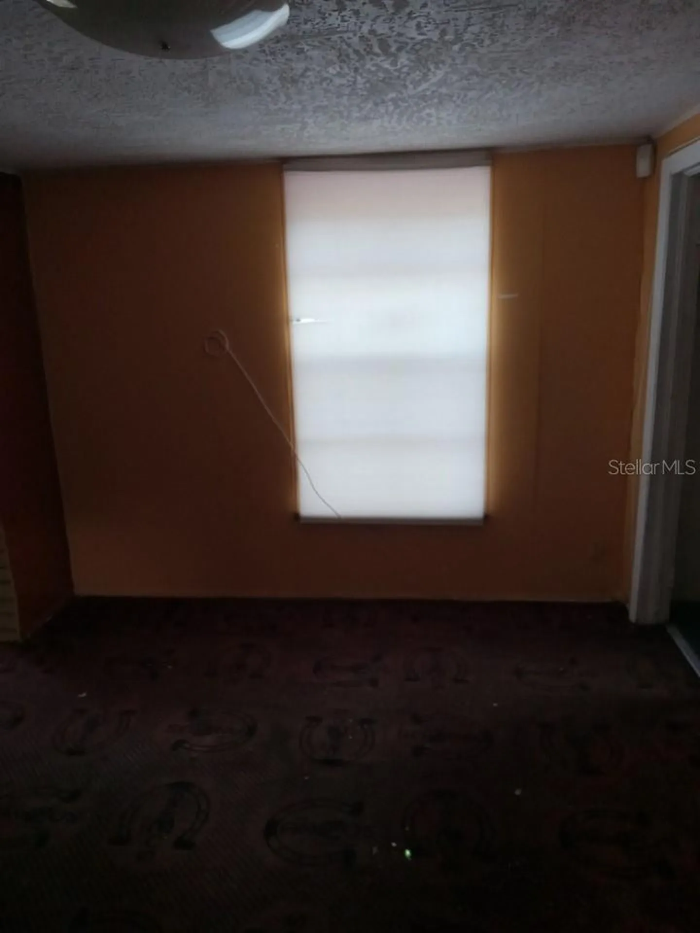 1123 29th Street S St Petersburg FL 33712