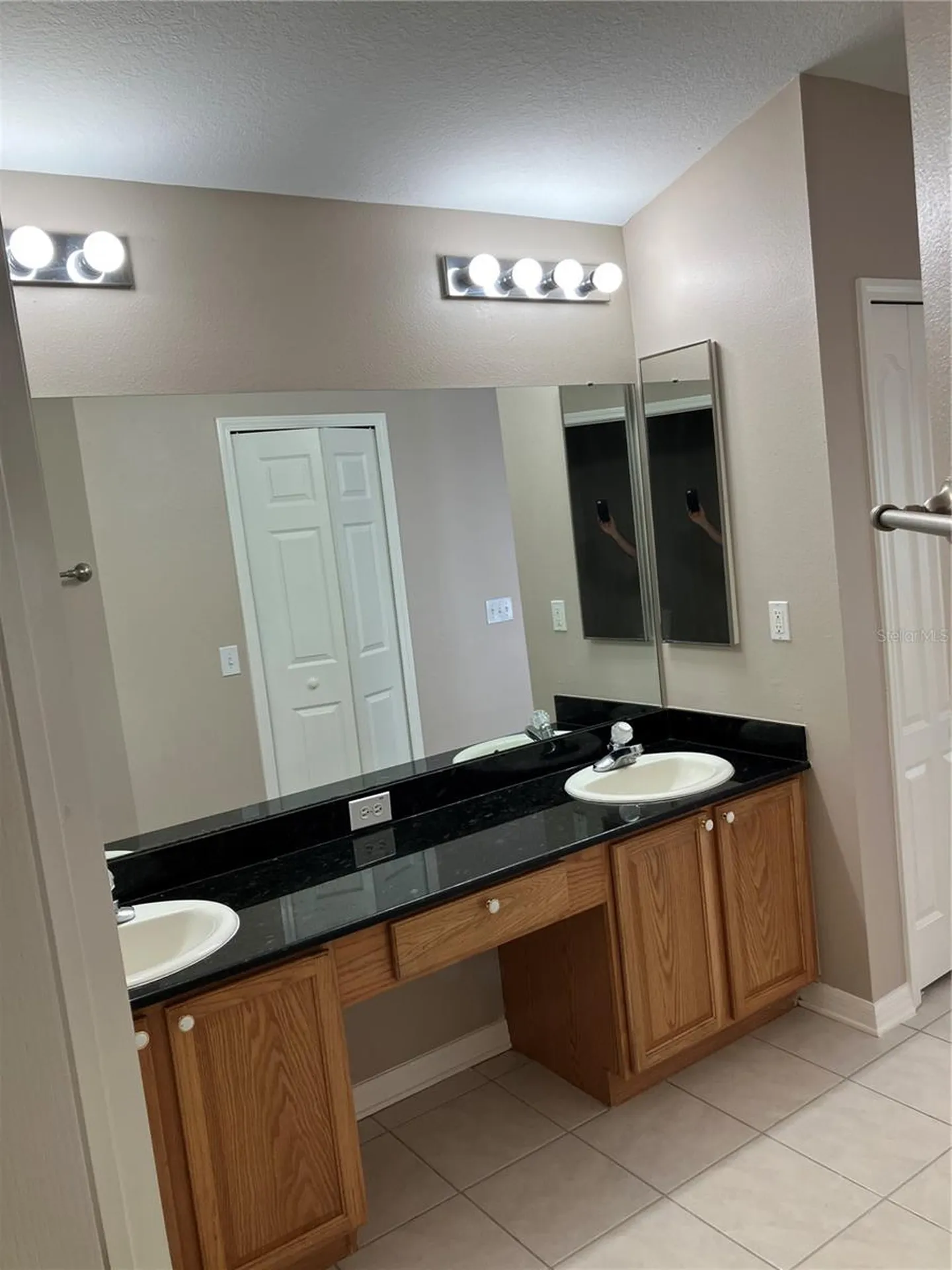 15848 Leatherleaf Lane Land O Lakes FL 34638