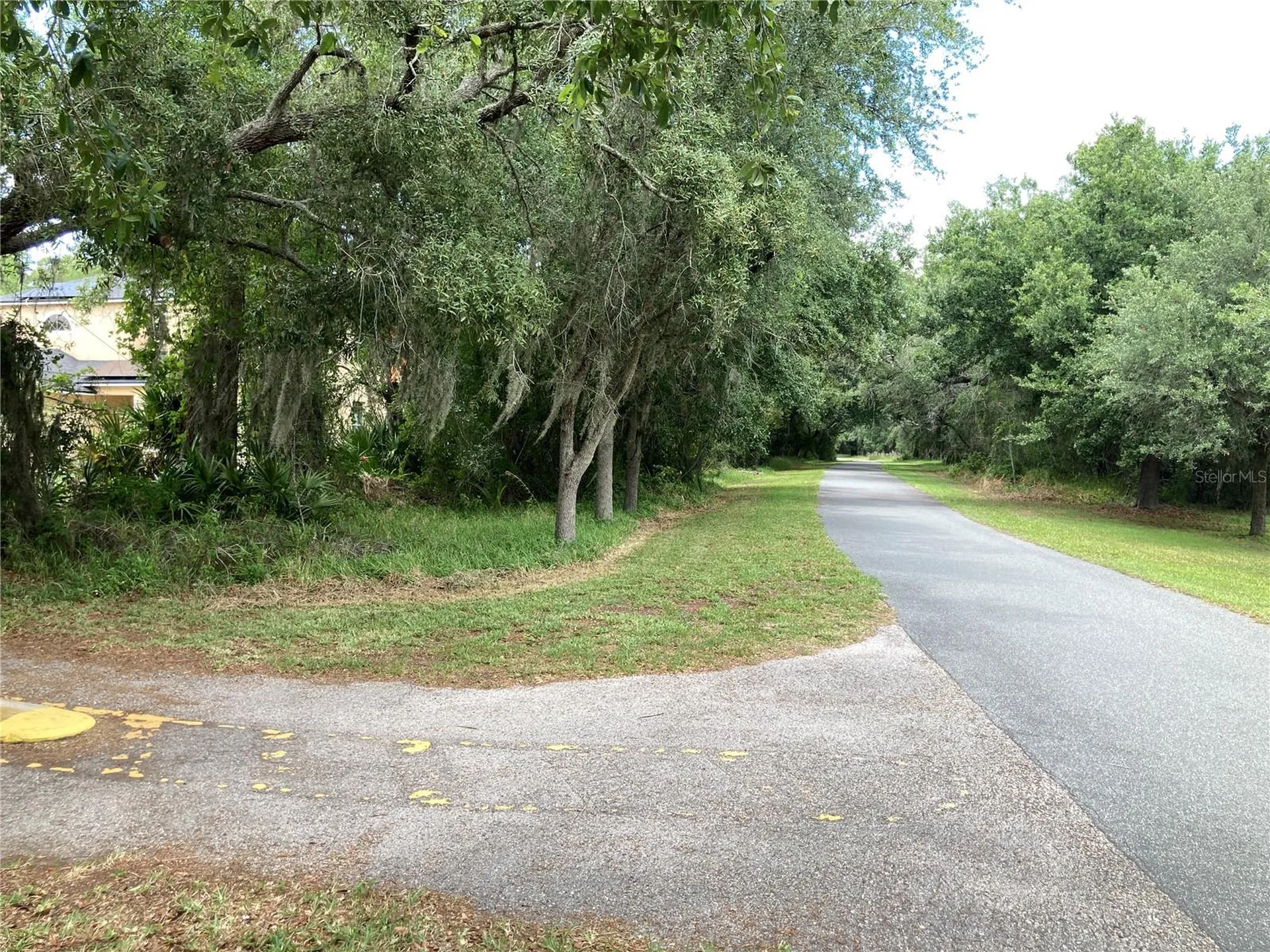 15848 Leatherleaf Lane Land O Lakes FL 34638